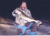 28 inch Walleye
